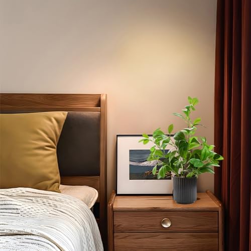 16 inch Artificial Plants Indoor Realistic Touching Evergreen Leaf Fake Plant with Creamic Black Pot for Home Office Living Room Bathroom Office Table Bookshelf Decor - Image 6