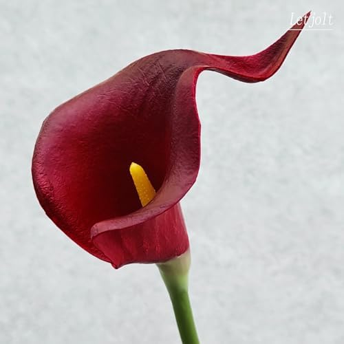 Letjolt Artificial Calla Lily Flowers Dark Red Flowers 20Pcs - Image 7