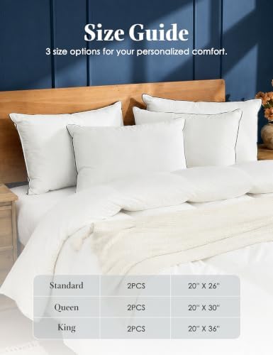 Dafinner 3-Chamber Goose Feather Down Bed Pillows Standard Size Set of 2 - Image 7