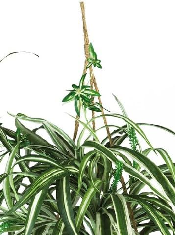 Nearly Natural 6607 Spider Hanging Basket Decorative Silk Plant, Green,10.25" x 10.25" x 17.5" - Image 4