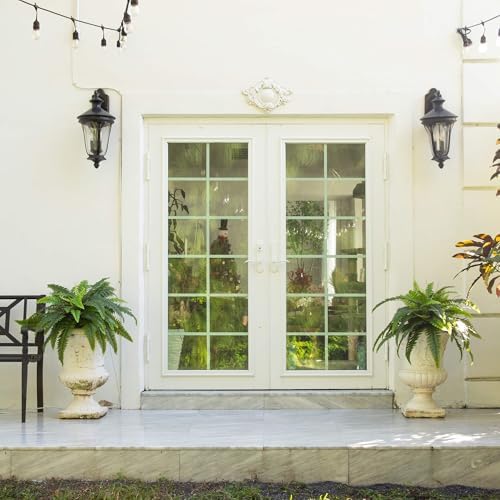 Nearly Natural 40-in UV Resistant Artificial Boston Fern, Set of 2, Large Hanging Fake Plant Wall Decor with 53 Fronds, Faux Fern Vines that Look Real for Home & Garden Decor, Outdoor Porch Decoration - Image 6