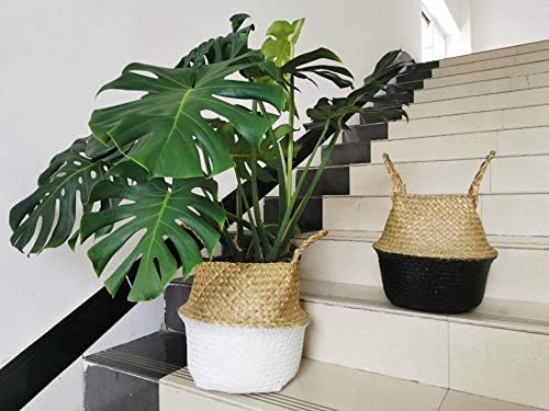 Seagrass Plant Basket with Handles Natural Woven Storage Baskets (White XL (10.6" D x 12.5" H))