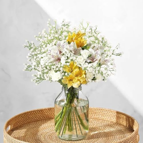 N&T NIETING 30Pcs Babys Breath Artificial Flowers Bulk Faux Flowers, White - Image 6