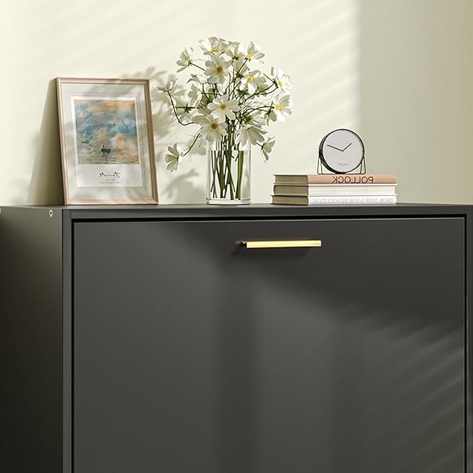 JOZZBY Shoe Cabinet Storage for Entryway, Freestanding Narrow Slim Shoe Organizer Cabinet with 2 Flip Drawers, Wooden Shoe Rack for Hallway, Living Room, Black1