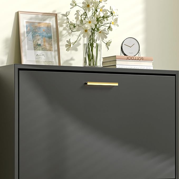 JOZZBY Shoe Storage Cabinet with 3 Flip Drawers, Freestanding Narrow Slim Shoe Organizer Cabinet Rack for Entryway, Hallway, Living Room, Black