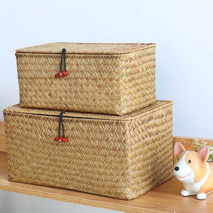 Moosky Wicker Shelf Baskets with Lid,Natural Seagrass Storage Basket Boxes Handwoven Rectangular Baskets Bins Multipurpose Home Organizer Decor (Large)