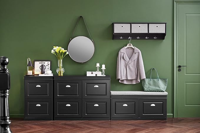 SoBuy Small Shoe Cabinet, Slim Shoe Rack 2 Flip-Drawers, Thin Shoe Storage Cupboard Organizer Unit for Entryway and Hallway, Black FSR78-SCH