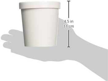 25ct White Pint Frozen Dessert Containers 16 oz
