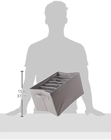 Amazon Basics Underwear Drawer Organizer Dividers for Closet Organization and Storage, Fits Perfectly in Dresser, 2-Pack, Gray | Pack of 2