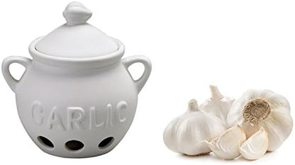 Fantes Garlic Keeper, Unglazed Earthenware Ceramic, The Italian Market Original since 1906