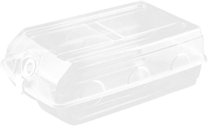 BESPORTBLE Thickened Plastic Shoe Storage Box Large Drop Front Shoe Organizer with Ventilation Holes Dustproof Flip Lid for Men and Women Closet Organization