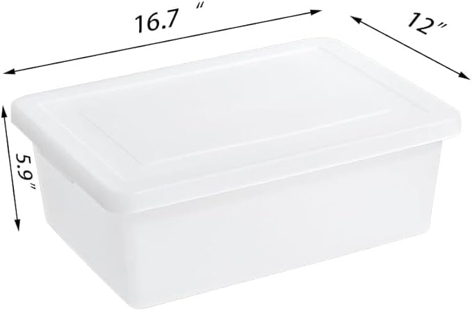 15 Quart Stackable Plastic Storage Bins with Lids,Container to Organize Shoes and Crafts on Closet Shelves,Garage, Totes, Tubs Boxes Organizing 2 Pack (N-2L)