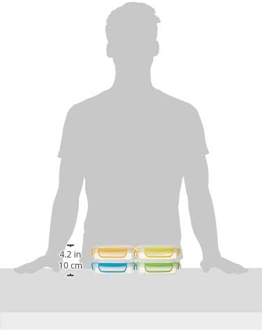 Snap Fresh - 4 Pack of Fun Size Leakproof Sandwich Containers - Reusable, BPA Free Sandwich Boxes. Airtight Seal. Also Great for Salads, Snacks, Fruit, Treats and Food Storage.