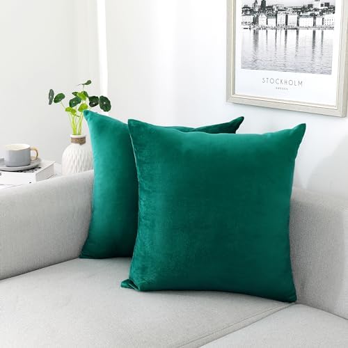 NiNi ALL Teal Velvet Throw Pillow Covers 22x22 Pack of 2 Decorative Couch by NiNiALL
