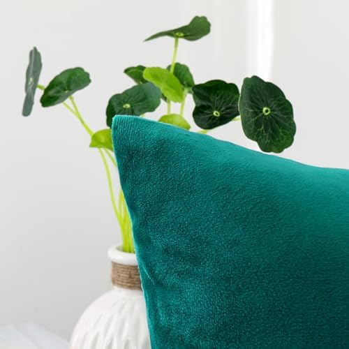 NiNi ALL Teal Velvet Throw Pillow Covers 22x22 Pack of 2 Decorative Couch - Image 3