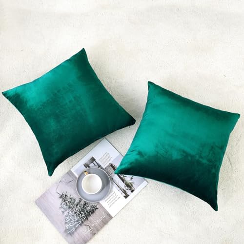 NiNi ALL Teal Velvet Throw Pillow Covers 22x22 Pack of 2 Decorative Couch - Image 2