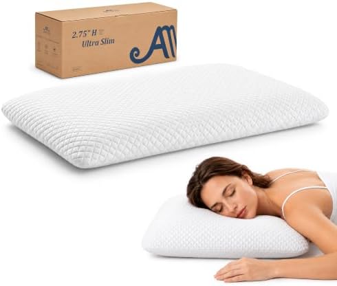 AM AEROMAX 2.75" Queen Size Flat Memory Foam Pillow, Low Profile by AMAEROMAX