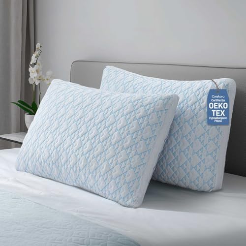 Cotelovo Shredded Memory Foam Soft Cooling Viscose Pillows Adjustable Hypoallergenic Hotel Quality Bed Pillows for Side, Back and Stomach Sleeper, Oeko-TEX Certified King Size Set of 2 by Unknown