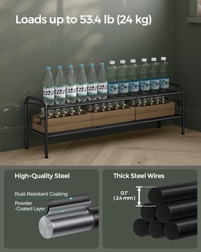 SONGMICS 2-Tier Metal Shoe Rack, Shoe Orgainzer, 44.9" Wide, Holds 18 Pairs - Image 6