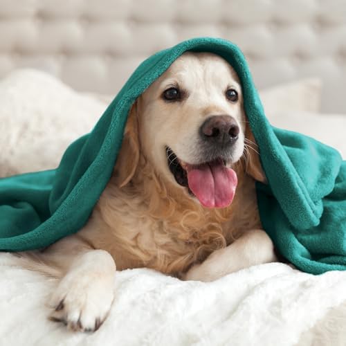 BEDELITE Fleece Blanket Soft Plush Twin Size Blanket Emerald Green 60"x80" - Image 7