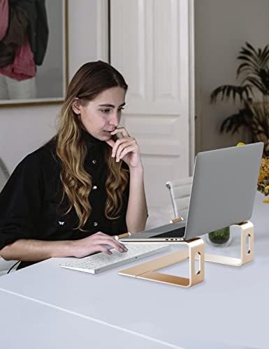 ALASHI Ergonomic Laptop Stand, Aluminum Desk Riser, 10-15.6", Gold - Image 6