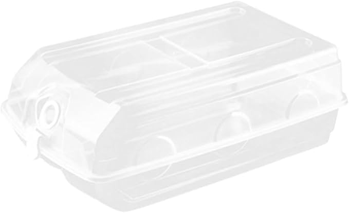 BESPORTBLE Large Plastic Shoe Storage Box Thickened Flip-Top Shoe Organizer Dustproof Design for Men and Women for Closet and Travel Use