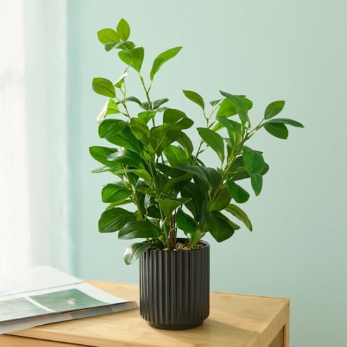 16 inch Artificial Plants Indoor Realistic Touching Evergreen Leaf Fake Plant with Creamic Black Pot for Home Office Living Room Bathroom Office Table Bookshelf Decor - Image 2