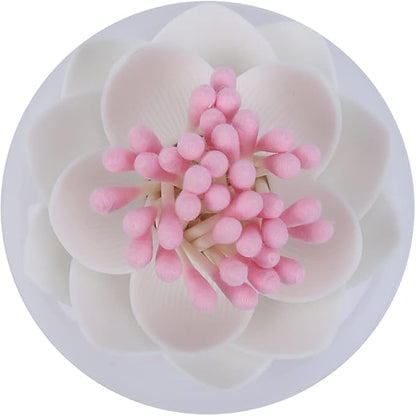 Bloss 2 Pack Qtip Holder Dispenser with Lid Lotus Cotton Swab Holder Cotton Swabs Bud Small QTips Box Toothpicks Holder Flower Bathroom Decor (Black + White)…