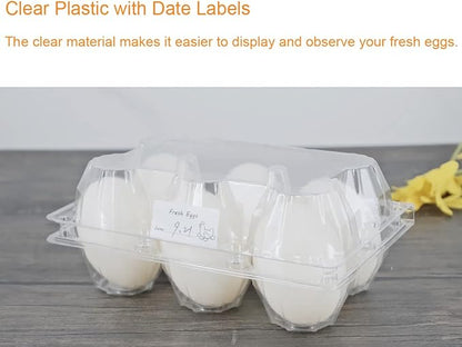 Egg Cartons 60 Packs, Clear Eco-friendly Plastic Blank Egg Cartons with Free Labels, Holds up to 6 Duck Eggs Securely, Perfect for Family Pasture Farm Markets Display - Large