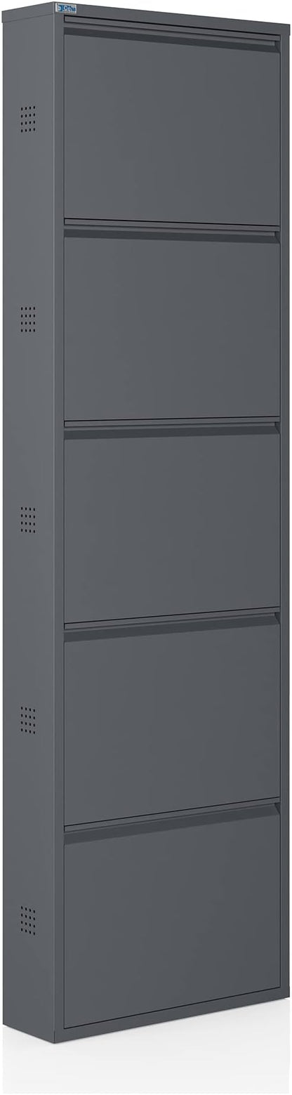 CEHA 5 Tier Metal Shoe Cabinet with Cover, Durable Shoe Storage Organizer for Entryway, Space Saving Shoe Shelf Closet with Side Ventilation Holes, 5.91" x 66.5" x 19.68", Anthracite