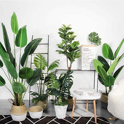 Seagrass Plant Basket with Handles Natural Woven Storage Baskets (White L(9.5" D x 11" H))