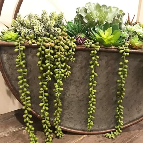 6pcs Artificial Fake String of Pearls Plant Faux Fake Hanging Succulents Plants (6, Green) - Image 4