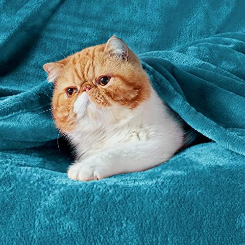 Bedsure GentleSoft Twin XL Fleece Blanket Dorm Bedding - Lightweight Soft Cozy Blankets for Bed, Sofa, Couch, Travel, Camping, Teal Blue, 66"x90" - Image 2