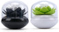 Bloss 2 Pack Louts Qtip Holder Dispener Holder Cotton Swabs Bud For Cotton Swab Toothpicks Bathroom Decor - (Green + Black)