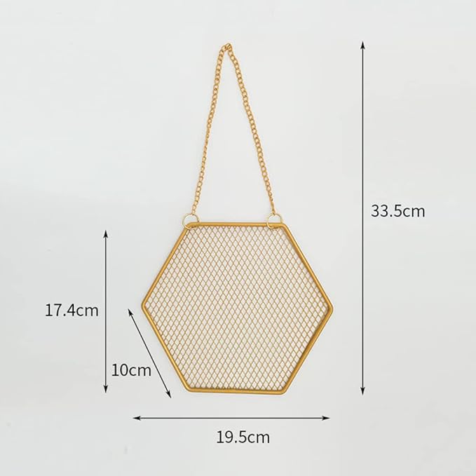 1PC Hexagon Metal Grid Display Rack Wall Mounted Storage Holder Organizer Earrings Necklaces Bracelets Jewelry Display Rack with Hanging Hook for Store, Showcase, Trade Show and Home Use, Gold