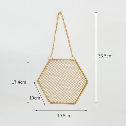 1PC Hexagon Metal Grid Display Rack Wall Mounted Storage Holder Organizer Earrings Necklaces Bracelets Jewelry Display Rack with Hanging Hook for Store, Showcase, Trade Show and Home Use, Gold