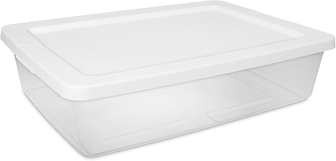 Small Storage Bin, 28 Quart Clear Plastic Storage Container with Snap-On Lid, White