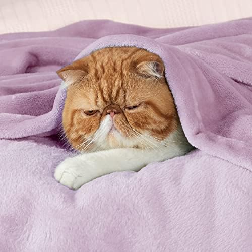 Bedsure GentleSoft Twin XL Fleece Blanket Dorm Bedding - Lightweight Soft Cozy Blankets for Bed, Sofa, Couch, Travel, Camping, Light Purple, 66"x90" - Image 2