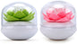 Bloss QTip Cotton Swab Holder Set - Lotus Toothpick Organizer Bathroom Decor Vanity Canister - 2 Pack (Green + Pink)