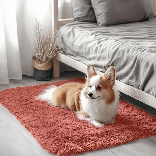 OLANLY 2x3 Machine Washable Small Bedside Rug, Soft Fluffy Shaggy Entryway Throw Rugs for Bedroom, Living Room, Indoor Floor Carpet for Kids Girls and Boys, Home Decor Aesthetic, Rust Red by OLANLY