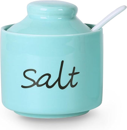 ONTUBE Farmhouse 8oz Salt Bowls with Lid and Spoon, Ceramics Condiment Pots, Seasoning Jar Spice Container for Kitchen, Dishwasher Safe (Turquoise)