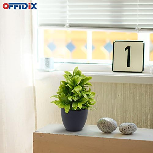 OFFIDIX Artificial Eucalyptus Plants with Black Vase for Office Desktop, Home and Friends’ Gift Fake Plant with Plastic Pots for Home Decoration Potted Plants for Bookshelf (Light Green) - Image 6