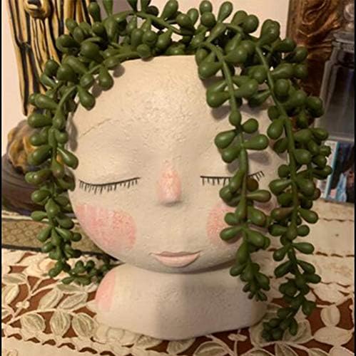 SzJias 3 Pcs String of Pearls Plant Artificial Hanging Succulents Plants for Home Garden Decor (Pots Not Included) - Image 5