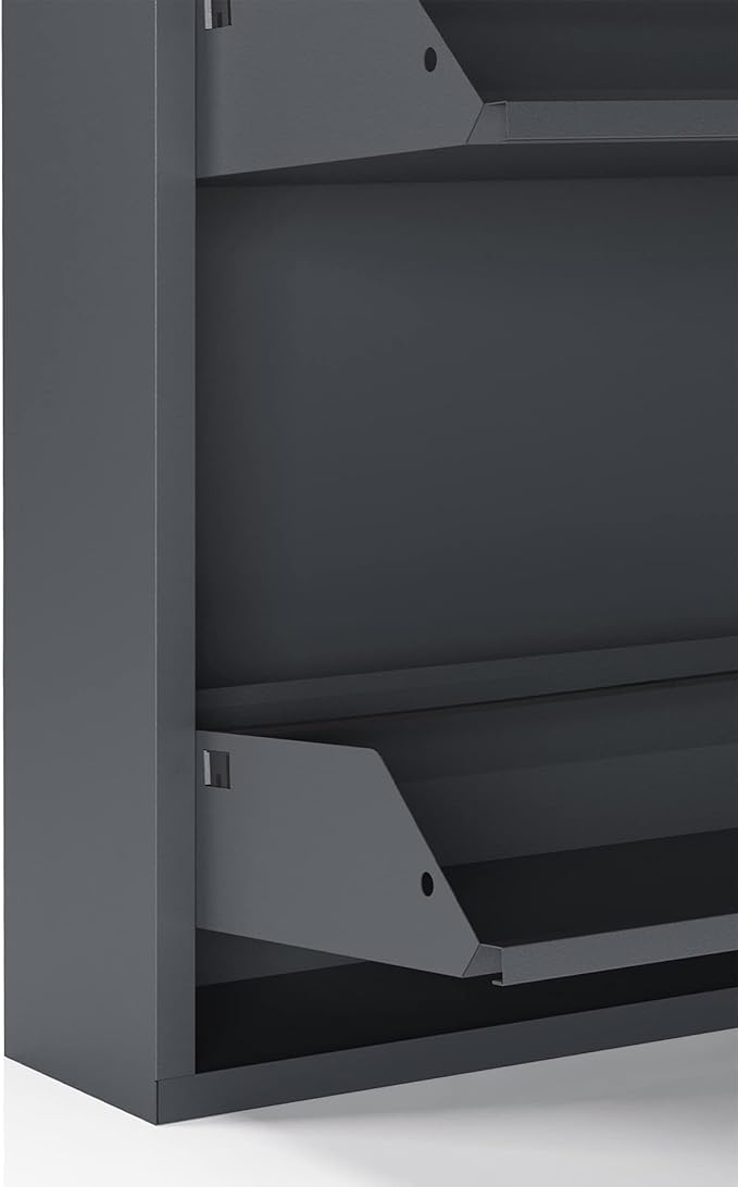 CEHA 4 Tier Metal Shoe Cabinet with Cover, Durable Shoe Storage Organizer for Entryway, Space Saving Shoe Shelf Closet, 5.91" x 53.5" x 19.68", Anthracite
