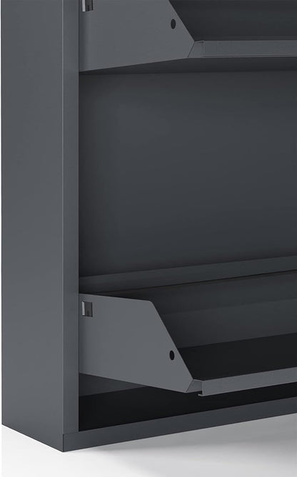 CEHA 4 Tier Metal Shoe Cabinet with Cover, Durable Shoe Storage Organizer for Entryway, Space Saving Shoe Shelf Closet, 5.91" x 53.5" x 19.68", Anthracite