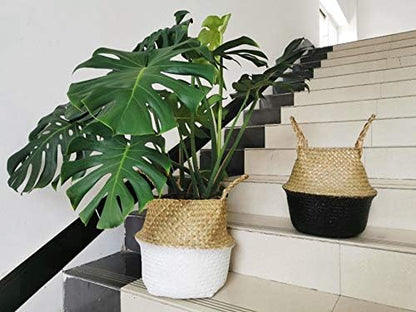 Seagrass Plant Basket with Handles Natural Woven Storage Baskets (White XL (10.6" D x 12.5" H))