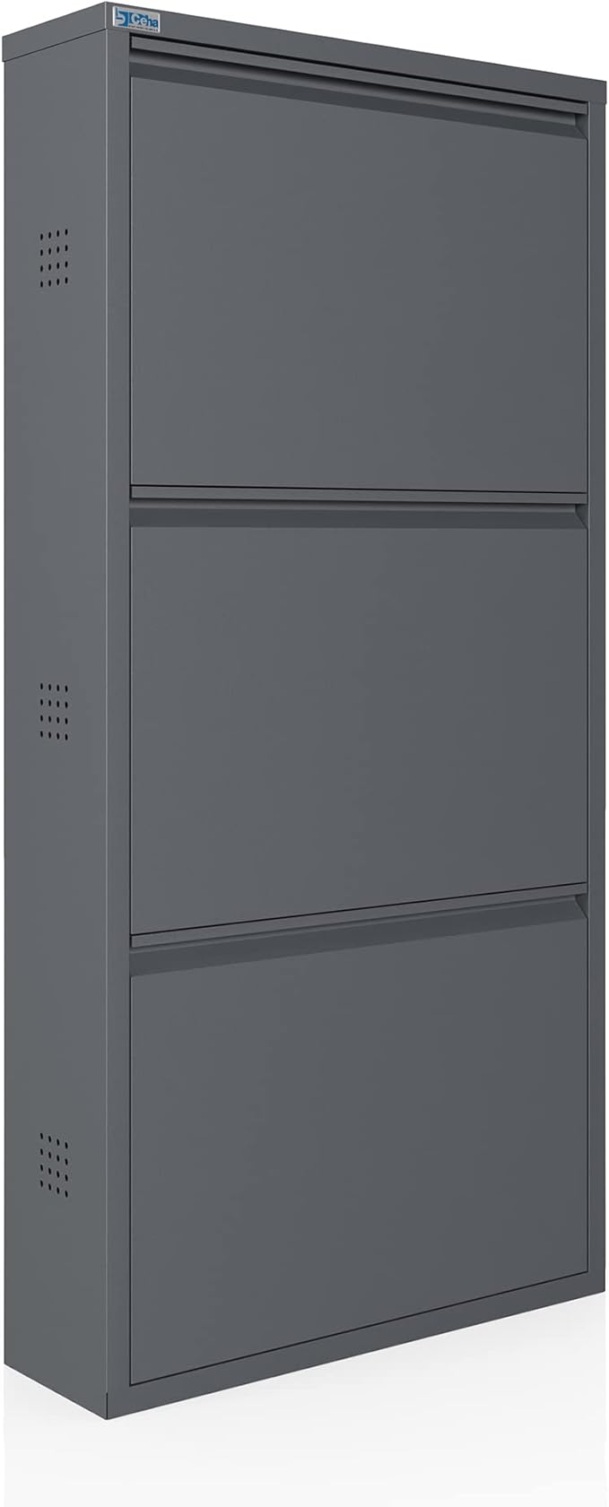 CEHA 3 Tier Metal Shoe Cabinet with Cover, Durable Shoe Storage Organizer for Entryway, Space Saving Shoe Shelf Closet with Side Ventilation Holes, 5.91" x 40.6" x 19.68", Anthracite