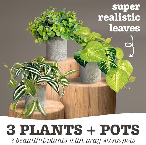 Eucalyptus, Eyebrow Leaf,Epipremnum Aureum,3 Pieces of mini Fake Plants,Artificial Plants Indoor, Hanging Plants, Home Decor Fake Plants,Faux Plants Indoor, Bookshelf Decor - Image 4