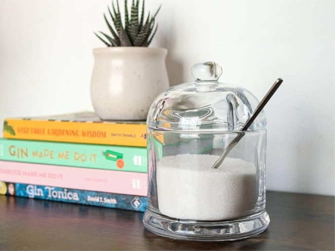 HillSpring Thick Glass Salt Cellar with Stainless Steel Spoon, Clear Container for Kosher, Sea, Himalayan Salt, Sugar, Pepper, Heavyweight Spices Jar, 10 oz (1, Transparent, Medium)