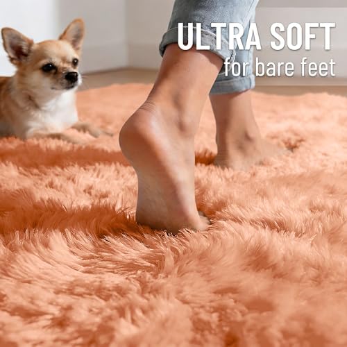 OLANLY 2x3 Machine Washable Small Bedside Rug, Soft Fluffy Shaggy Entryway Throw Rugs for Bedroom, Living Room, Indoor Floor Carpet for Kids Girls and Boys, Home Decor Aesthetic, Muted Orange - Image 4